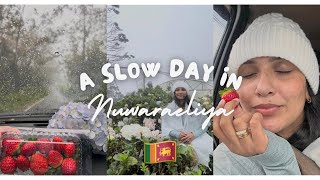 Details A cozy, slow day in Nuwara Eliya 🍃Srilanka🇱🇰 Update