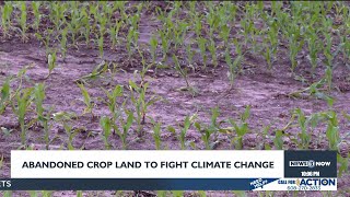 Abandoned farmland could play role in fight against climate change