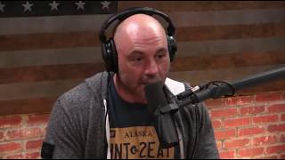 Joe Rogan on Rude People Who Want Selfies