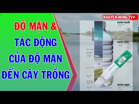 Độ mặn và tác động của độ mặn đến cây trồng như thế nào?  - KHUYẾN NÔNG TV