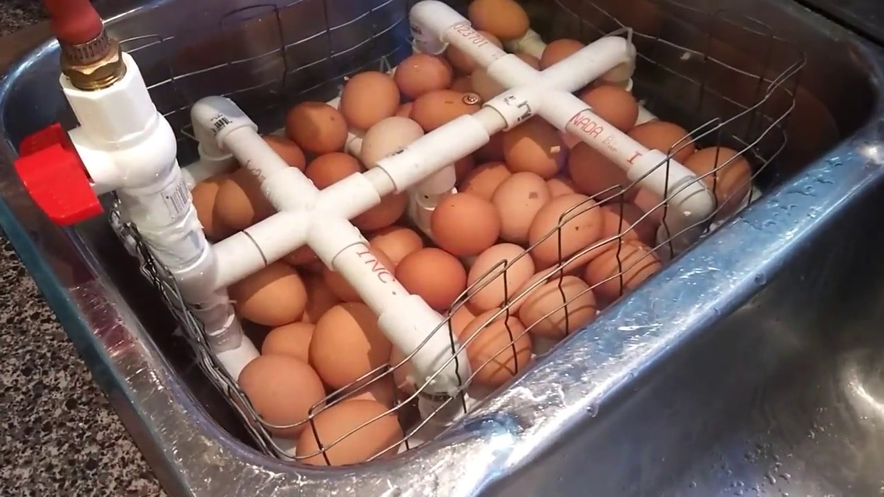 DIY egg washer (chickens forum at permies)