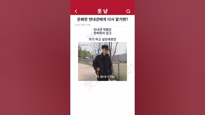 은퇴한 안내견에게 다시 일을 맡기면?