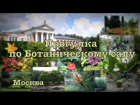 Прогулка по Ботаническому саду.🌴 Москва Главный Ботанический сад РАН им. Н.В. Цицина