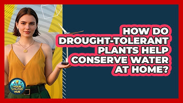How Do Drought-tolerant Plants Help Conserve Water At Home? - Your Utilities Hub