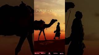 Download Lagu T-Puse - Changes #cafedeanatolia #chillout #ethnoworld MP3