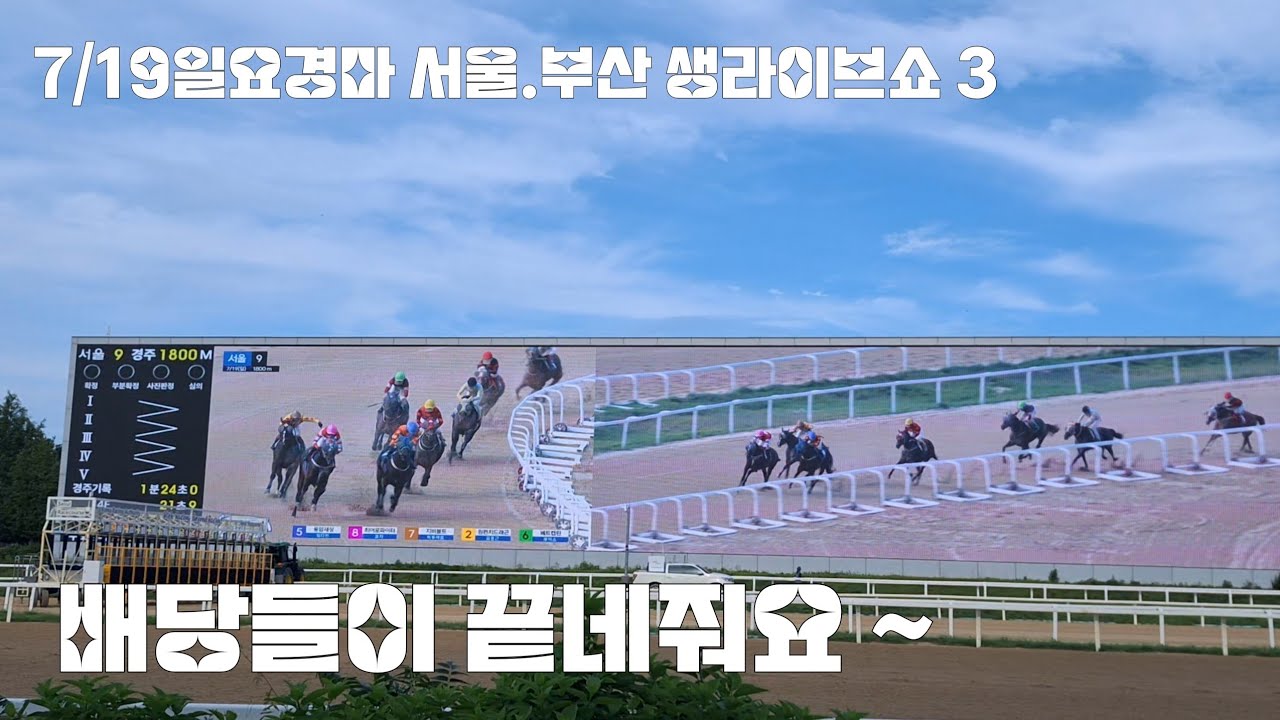 경마배당 오늘같은날은 다 걸었어야해 (서울8.9.10경주/부산5.6.7경주)