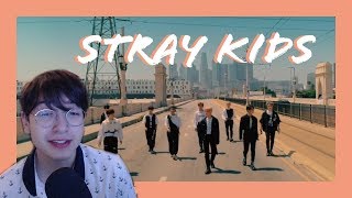 MV Reaction // Stray Kids - Double Knot