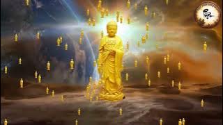 Nhạc Niệm Phật Đạo Tràng Phước Ngọc - Giúp tâm thanh tịnh, nhẹ nhàng, an lạc!