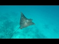 Reethi Faru House Reef, Maldives 2018