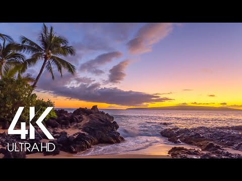 Perfect Sunset - 8 HOURS Calming Sounds of Ocean Waves on Tropical Beach