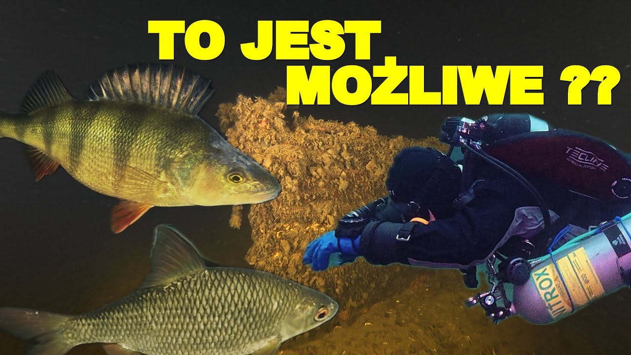 NURKOWANIE 26.01.2025 JEZIORO W MOJEJ RODZINNEJ MIEJSCOWOŚCI