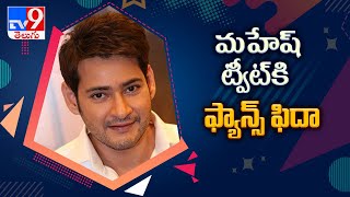 Mahesh Babu asks fans to avoid social gatherings on his birthday -TV9