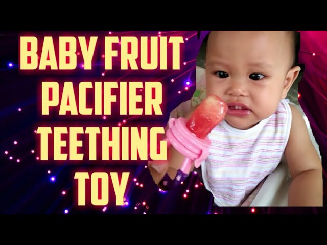 Baby Fresh Food Feeder – Tips and Advice