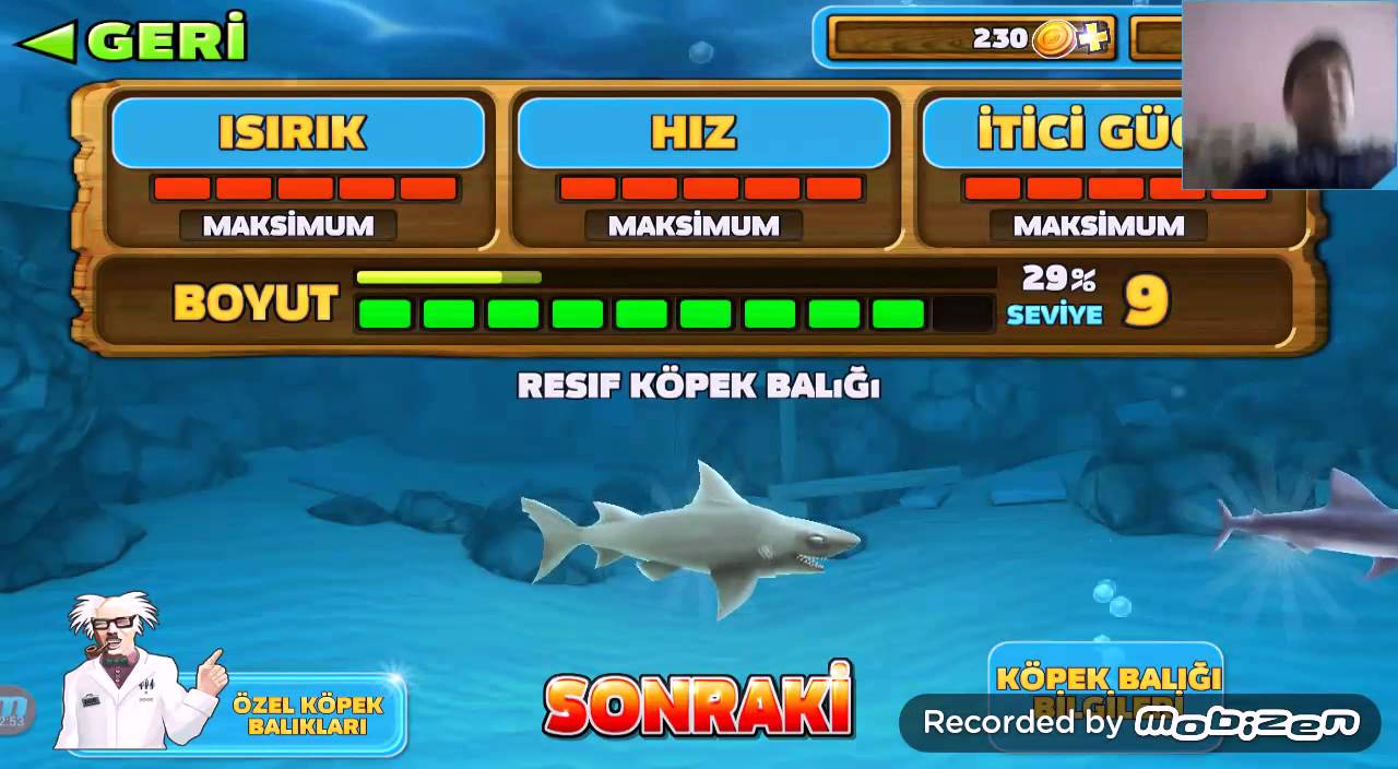 Hungry shark большой папочка. Хангри шарк эволюшн. Взломанная версия голодная акула. Хангри шарк 2. Взломанная акула.