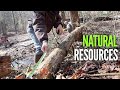 Whats the Cedar Logs For? Off Grid Cabin Build Episode #7