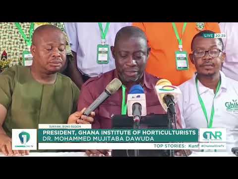 Tomato Production: Dr. Dawuda Urges Govt to Fund Research and Greenhouse Farming