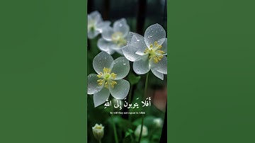 تلاوة عطرة للقارئ محمد اللحيدان || سورة المائدة || #قران_كريم #قرآن #ايات_القرآن #تلاوة_خاشعة