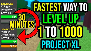 How to Level Up Faster in Project XL 1000 lvl in 30 minutes!