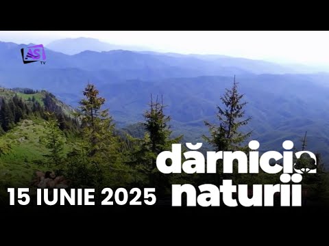 Dărnicia Naturii • Rusalii cu flori de munte Dărnicia Naturii • Rusalii cu flori de munte