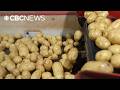 For the first time in years, Canada could soon export potatoes to Mexico