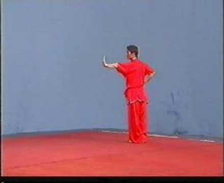 wushu judging standards drgree C for movements