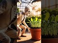 "Grow Arugula in 7 Days?! 🌱😳"