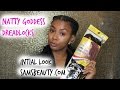 Natty Goddess Dreadlocks Initial Look Samsbeauty Com mp3