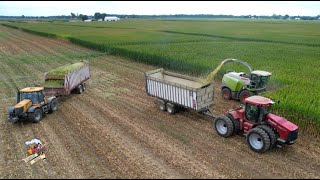 It's Beginning to Look a Lot Like Corn Silage Season