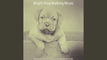 Charming Backdrops for Energetic Puppies