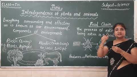 Class 5th Science Topic   Interdependence of Plants & Animals