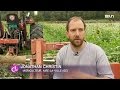 Genève: des agriculteurs labourent leurs champs avec des vers de terre