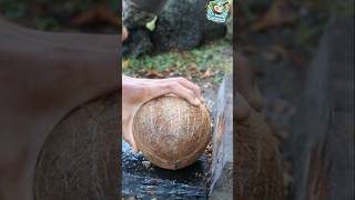 Keterampilan super membuka daging kelapa