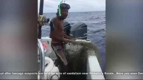 Fisherman discovers drifting gill net and removes from water
