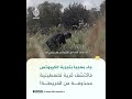 جاء معجبا بتجربة الكيبوتس.. فاكتشف قرية فلسطينية محذوفة من الخريطة!