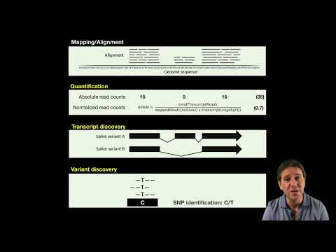 Video: Gendispersion Er Nøgledeterminanten For Læstællingsbiasen Ved Differentiel Ekspressionsanalyse Af RNA-seq-data