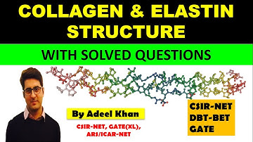 COLLAGEN & ELASTIN WITH SOLVED QUESTIONS || CSIR-NET, ICMR, DBT, GATE(XL) || M.Sc. ||