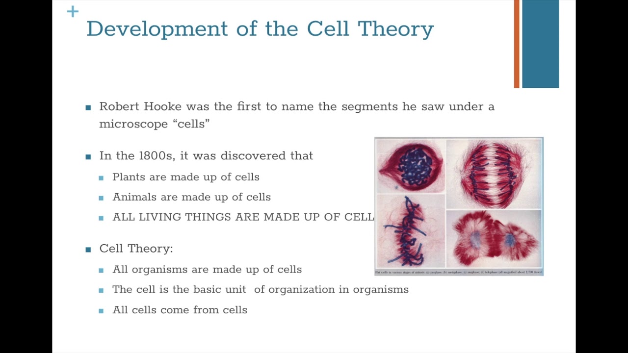 Science Chapter 8 Section 3a - YouTube
