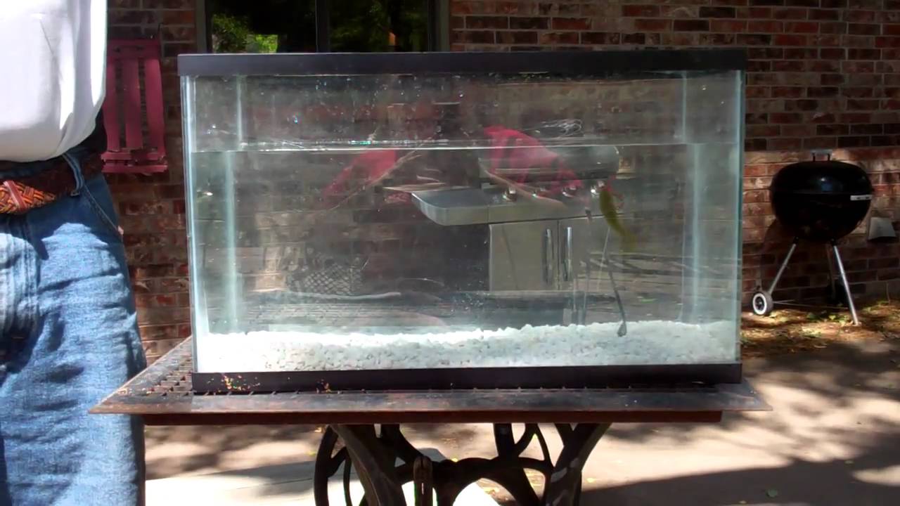 Zipper Worm Product Demonstration YouTube