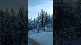 Snowy Road in South Lake Tahoe. Winter Drive
