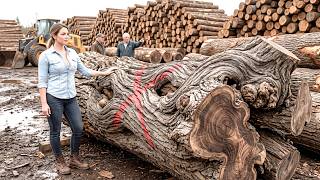 The Timber Company Couldn't Sell Twisted Walnut Logs—One Widow Saw What Everyone Else Missed