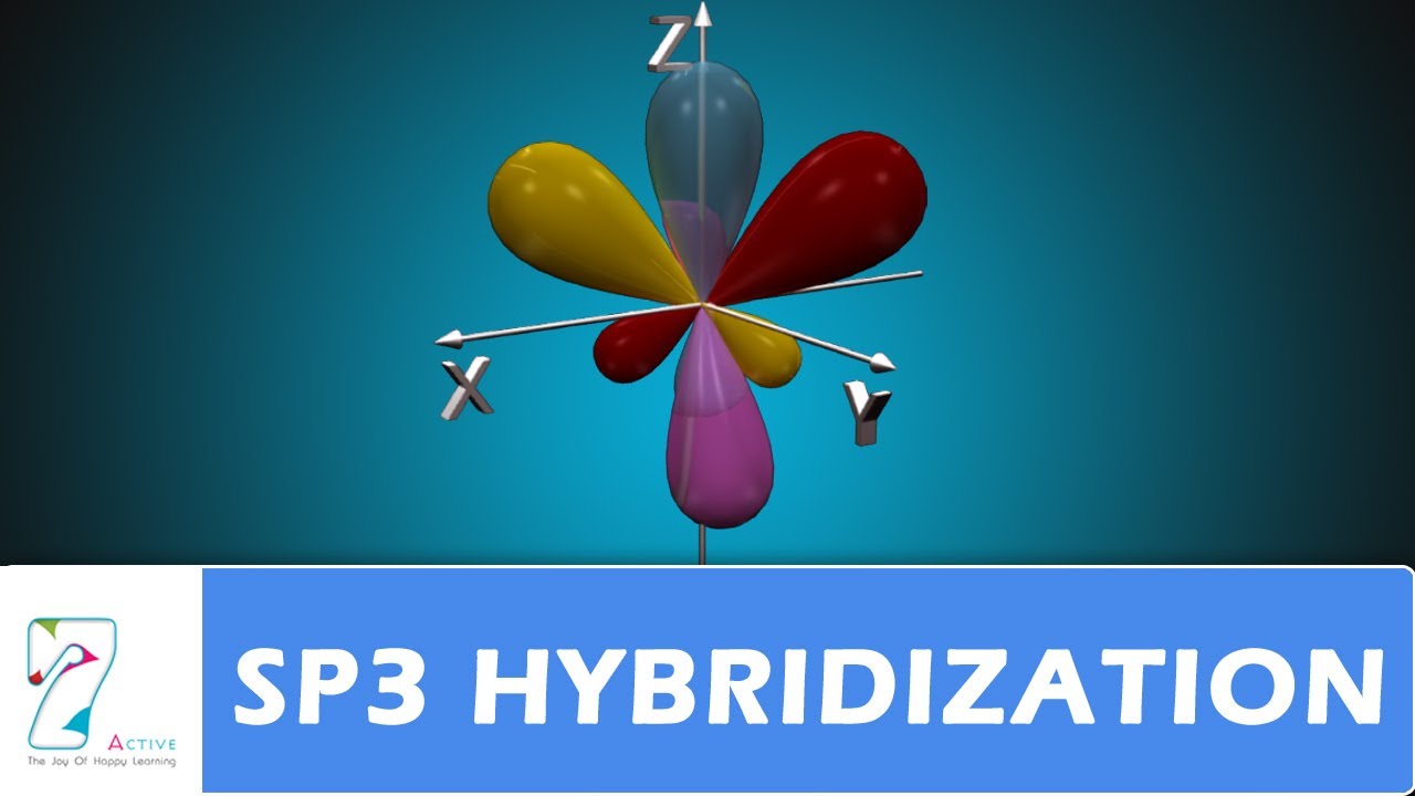 HYBRIDIZATION_ 01 SP3 PART