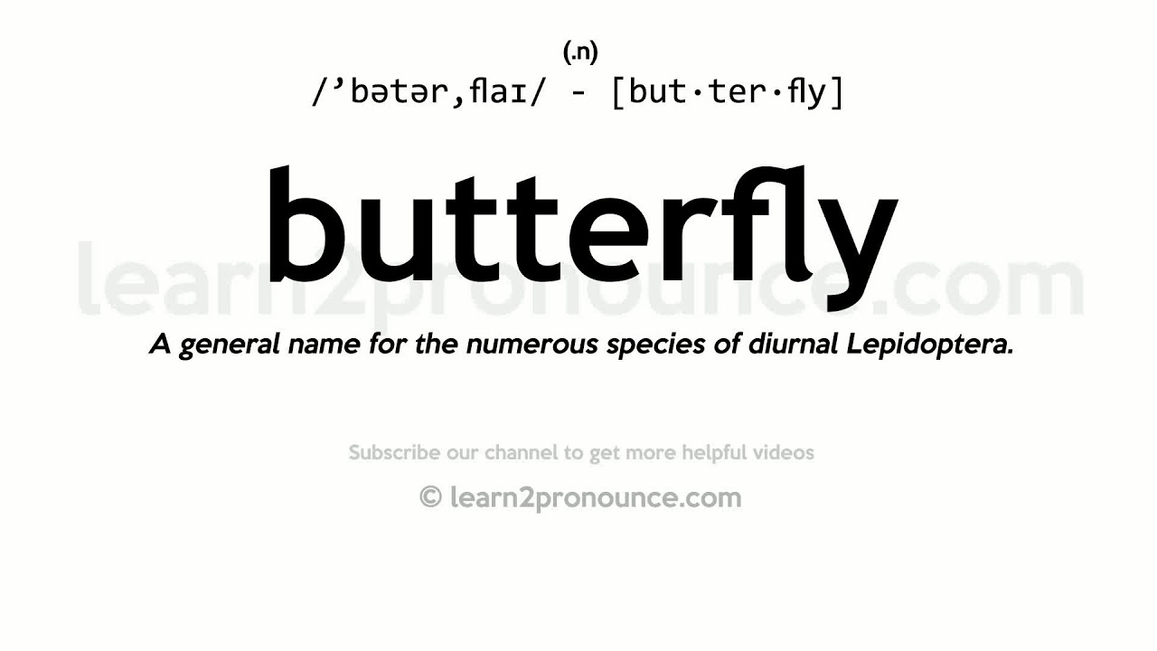 Pronunciation of Butterfly Definition of Butterfly YouTube