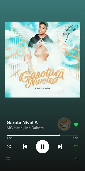 MC Hariel e MC Daleste - Garota Nivel A ( Status ) #Tipografia #Funk