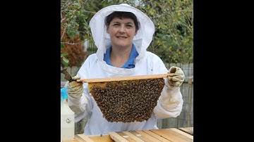 Mann Lake Double Mating Nucs and Grow Boxes, plus+