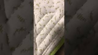 Video Of Bed With Insects Hair And Urine