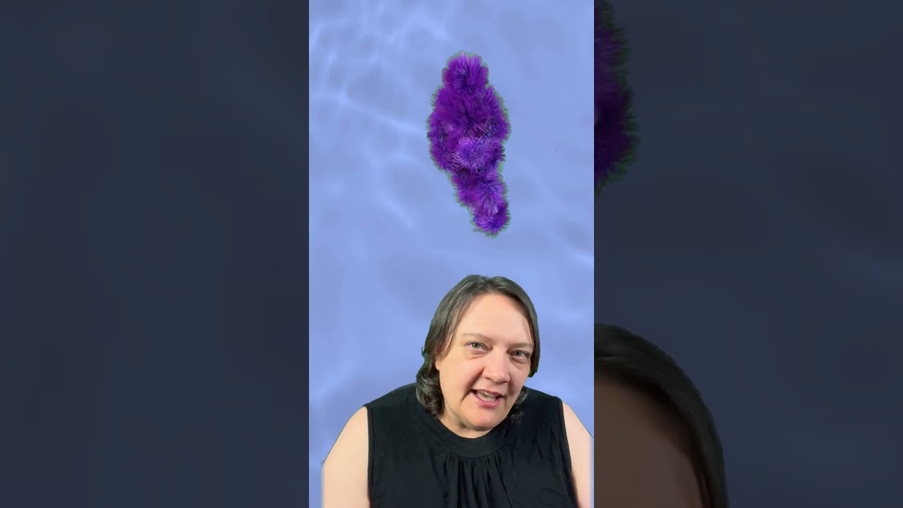 The mystery of Skeleton Lake (Roopkund) in the Himalayas