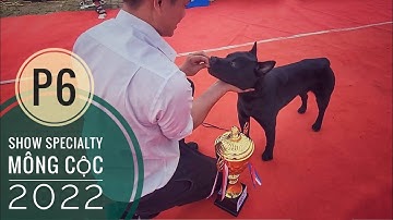 P6: Nóng hơn cái Lò & Chú Chó H