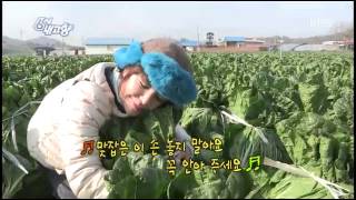 6시 내고향 - Hometown Report 20141125 #008