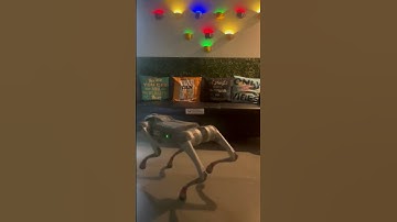 🐾 Meet the Future: Unitree Quadrupedal Robot! 🤖