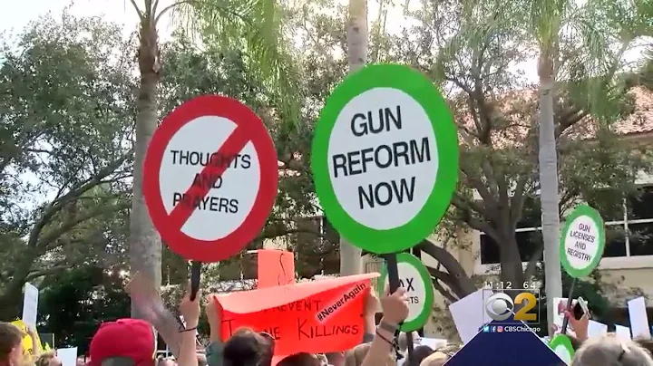 Florida School Shooting Survivors Leading New Gun Control Movement